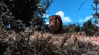 Tarzan  (1966 TV Series) Full Intro and Opening Title Theme (a.k.a. 