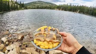 Fishing is Heating Up in Colorado's Indian Peaks! Catch & Cook Bacon Brook Trout with Mac N Cheese!