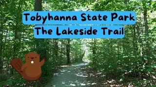 Tobyhanna State Park, The Lakeside Trail ~ Pennsylvania