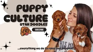 Puppy Culture