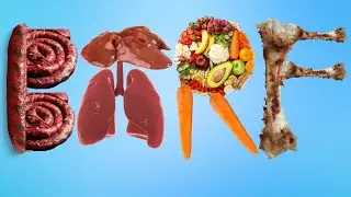 Raw Dog Food Made Simple: The Easy Guide to The BARF Diet