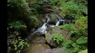 Wanderung mit Kindern! Die Ehrbachklamm bei Boppard-Oppenhausen! Rheinland-Pfalz