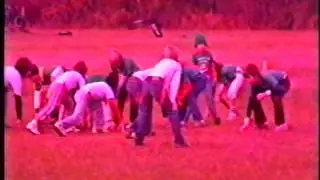 1985   Home Videos   2