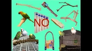 What Bird Perches?