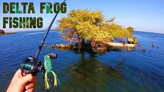 DELTA FROG FISHING | BIG BREAK | DUTCH SLOUGH | FRANKS TRACT | I LOST A MONSTER