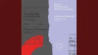 Symphony No. 5 in C Minor, Op. 67: I. Allegro con brio