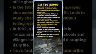 Shocking Events They Never Told You About in School