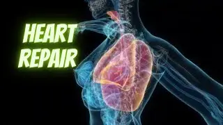 Heart Repair and Treatment Sound Therapy | Heart Healing Frequency