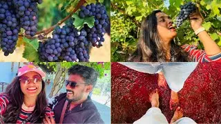 മുന്തിരി ചവിട്ടി വീഞ്ഞാക്കി💜|| SULA VINEYARD || Grape Stomping in Bangalore || #sula #grapestomping