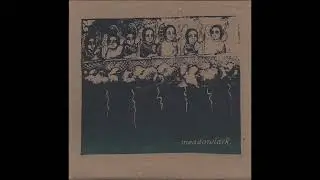 Meadowlark 7