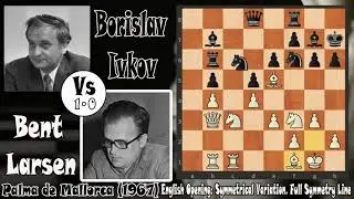 Supersymmetry Theory, Bent Larsen vs Borislav Ivkov | Chess Game