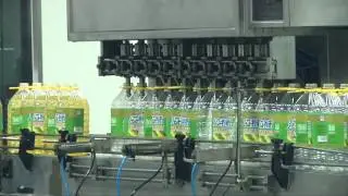 U.S. Soybean Crop Has Many Uses