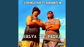 Selva de Pedra