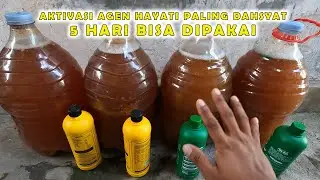CARA AKTIVASI DAN MEMPERBANAYAK  AGEN HAYATI M21 & EM4