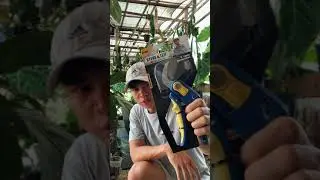 @Marcusonaroid's Shopee Gardening Haul