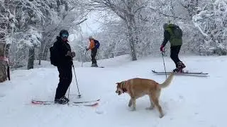 Thunderbolt ⚡️ Ski Review