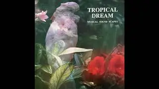 Stefan Schramm & Jonas Kvarnstr&ouml;m - Tropical Dream [Canada] Proto-Vaporwave, Imaginary Videogame OST