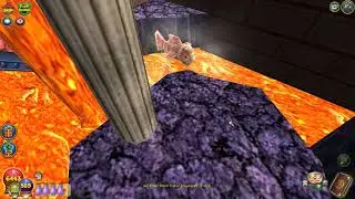 Wizard101: Life Wiz (Side Quests) - Not If I Catch 'Em First! {Fishing} (Ep. F16) [Dragonspyre]
