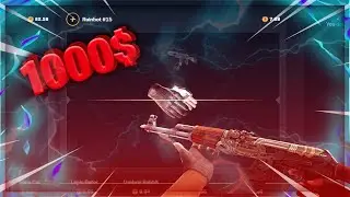 ON PARIE 1000$ SUR RAIN.GG, ALLONS NOUS GAGNER ?