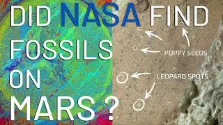 Possible Fossils on Mars? NASA Reveals a Potential Biosignature