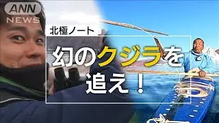 “幻のクジラ”イッカク猟　密着120時間！唯一無二の伝統的猟法とは【北極ノート】(2023年8月30日)