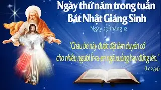 NGÀY THỨ NĂM TRONG TUẦN BÁT NHẬT GIÁNG SINH - Ngày 29 tháng 12 (Lc 2, 22-35)- Lời Chúa Cho Mọi Người
