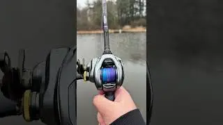 Shimano Curado dc