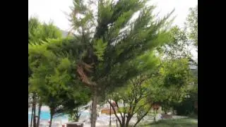 Magic Sun Hotel Beldibi Turkey