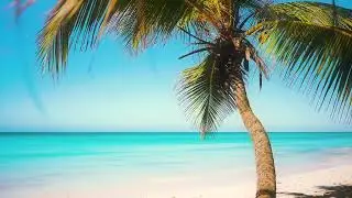 Sand and the Sea - 1 Hour of Tidal Waves for Escape | Ocean Sounds by Lullify | Lullify &infin; 670