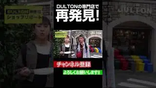 【DULTON】雑貨屋スタッフがリポート！！ #Shorts