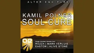Soul Cure (Original Mix)