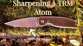 Getting a TRM Atom STUPID Sharp | Freehand Sharpening