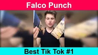 Falco Punch Best Tik Tok Videos Compilation | Part 1