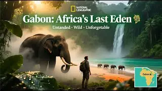 Exploring Gabon 🇬🇦 | Africa&rsquo;s Hidden Eden of Rainforests, Wildlife & Adventure