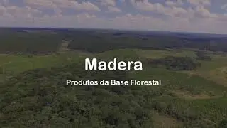 Madera - Produtos da base florestal