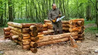 Solo Bushcraft Shelter Build in the Woods - Adirondack