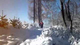 Fichtl vrbička zima 2012