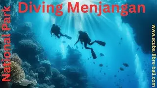 Scuba Libre Bali diving Menjangan