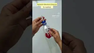 STEM activities on Human Body