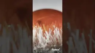 FLOTEX rev&ecirc;tement de sol pour espaces de restauration | Forbo Flooring Systems