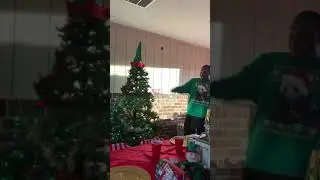 2018 Christmas Theme Gender Reveal