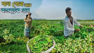 সাদা সোনা আর বাওড়ের গ্রাম 