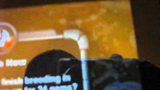 how to breed a crystal dragon in dragonvale