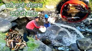 traditional fishing  style in jiri Nepal🇳🇵🐋असला माछा🐋# fish in nepal # cooking fish curry in village