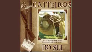 Tapeando os Marimbondos