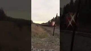 A CN ES44DC with an awesome Narrow Font 1 Piece 1L K5HL and an amazing crew! #shorts #train