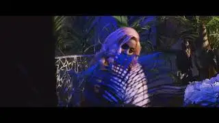 WIZZKID FT TIWA SAVAGE-MALO (OFFICIAL VIDEO)