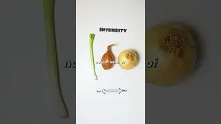 Onion vs. Shallot vs. Scallion | What&rsquo;s the Difference? #cooking #food