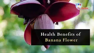 Health Benefits of Banana Flower