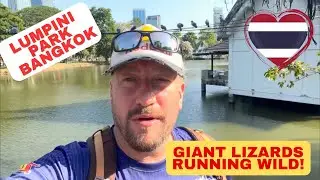 Giant Lizards are RUNNING WILD in Lumpini Park, Bangkok!!!🇹🇭